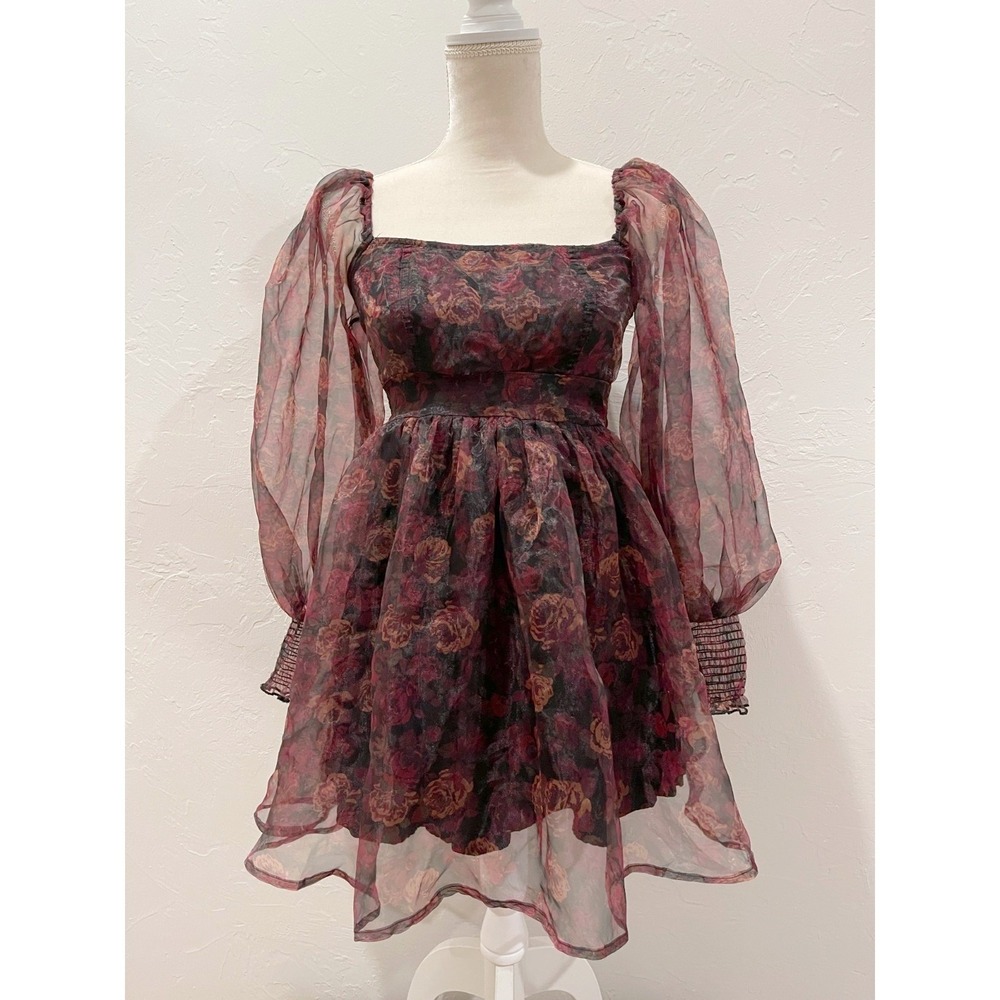 Coco + Jaimeson Floral Organza Mini Dress S Puff Sleeve Cottagecore Gothic Fairy